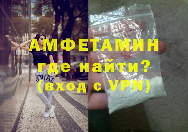 шишки Новодвинск