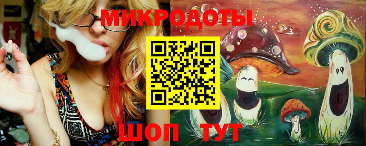 Камышлов  Галлюциногенные грибы Cubensis  Галлюциногенные грибы прущие грибы  Вход с VPN 