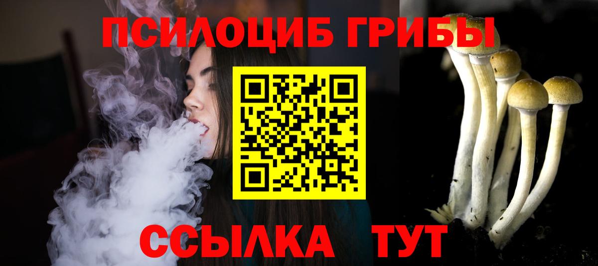 Псилоцибиновые грибы Magic Shrooms Камышлов