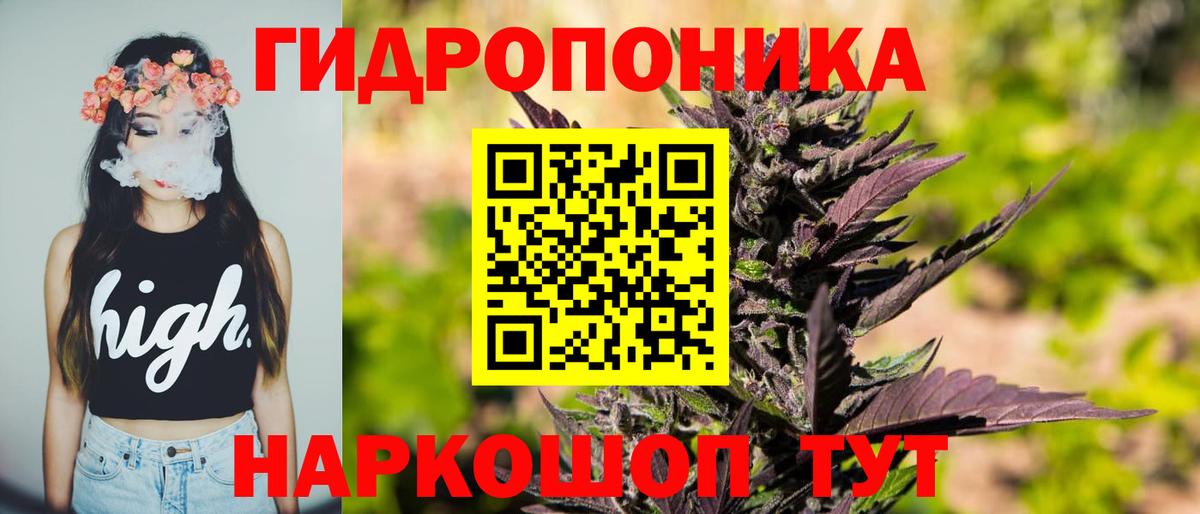 Бошки марихуана сатива Камышлов