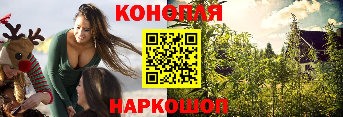 Шишки марихуана MAZAR  Камышлов  Бошки Шишки Ganja  Шишки марихуана гибрид 